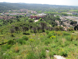 El fort dels Caputxins, a les Pedreres