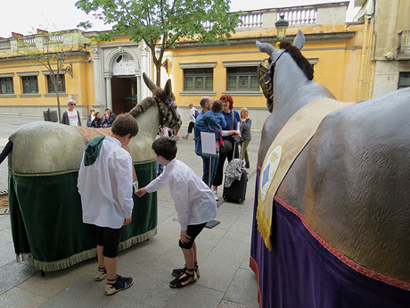 Festes de Primavera de Girona 2018. Passejada de mulasses amb la Mula Baba i la Mula petita de Girona, amb la Mulassa i la Somera de Falset