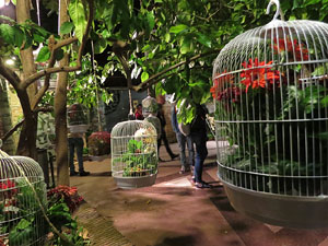 Nit dels Museus 2018. Museu d'Hist&ograve;ria dels Jueus