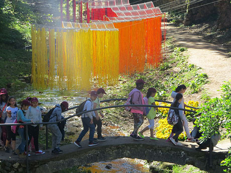 Temps de Flors 2018. Muntatges i instal·lacions florals als Absis de Sant Pere de Galligants