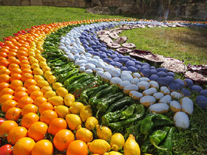 Temps de Flors 2018. Muntatges i instal·lacions florals als Absis de Sant Pere de Galligants