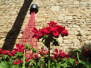 Temps de Flors 2018. Muntatges i instal·lacions florals als Absis de Sant Pere de Galligants