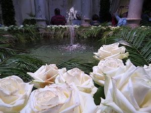 Temps de Flors 2018. Decoracions florals als diversos espais dels Banys Àrabs