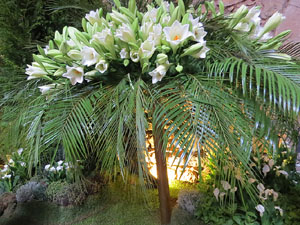 Temps de Flors 2018. Decoracions florals als diversos espais dels Banys Àrabs