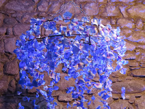 Temps de Flors 2018. Decoracions florals als diversos espais dels Banys Àrabs