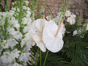 Temps de Flors 2018. Decoracions florals als diversos espais dels Banys Àrabs