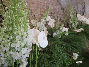 Temps de Flors 2018. Decoracions florals als diversos espais dels Banys Àrabs