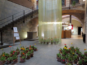 Temps de Flors 2018. Muntatges i instal&middot;lacions florals a la Cambra de la Propietat Urbana