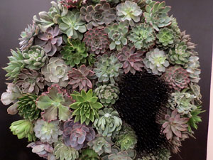 Temps de Flors 2018. Muntatges i instal&middot;lacions florals al Palau de Caramany