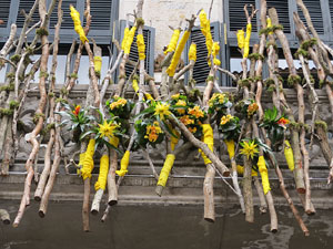 Temps de Flors 2018. Instal&middot;lacions 'El Bosc de la Llibertat' a la pla&ccedil;a del Vi, carrer Ciutadans i pla&ccedil;a de l'Oli