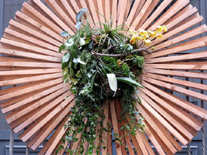 Temps de Flors 2018. Instal&middot;lacions 'El Bosc de la Llibertat' a la pla&ccedil;a del Vi, carrer Ciutadans i pla&ccedil;a de l'Oli