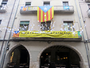 Temps de Flors 2018. Instal&middot;lacions 'El Bosc de la Llibertat' a la pla&ccedil;a del Vi, carrer Ciutadans i pla&ccedil;a de l'Oli