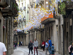 Temps de Flors 2018. Instal&middot;lacions 'El Bosc de la Llibertat' a la pla&ccedil;a del Vi, carrer Ciutadans i pla&ccedil;a de l'Oli