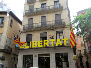 Temps de Flors 2018. Instal&middot;lacions 'El Bosc de la Llibertat' a la pla&ccedil;a del Vi, carrer Ciutadans i pla&ccedil;a de l'Oli