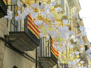 Temps de Flors 2018. Instal&middot;lacions 'El Bosc de la Llibertat' a la pla&ccedil;a del Vi, carrer Ciutadans i pla&ccedil;a de l'Oli
