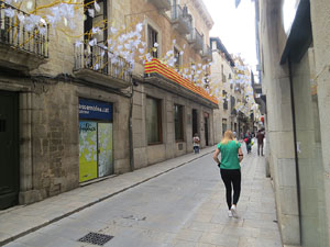 Temps de Flors 2018. Instal&middot;lacions 'El Bosc de la Llibertat' a la pla&ccedil;a del Vi, carrer Ciutadans i pla&ccedil;a de l'Oli