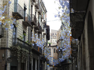 Temps de Flors 2018. Instal&middot;lacions 'El Bosc de la Llibertat' a la pla&ccedil;a del Vi, carrer Ciutadans i pla&ccedil;a de l'Oli