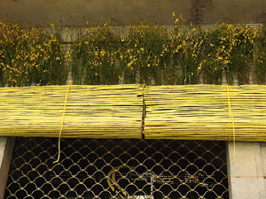 Temps de Flors 2018. Instal&middot;lacions 'El Bosc de la Llibertat' a la pla&ccedil;a del Vi, carrer Ciutadans i pla&ccedil;a de l'Oli