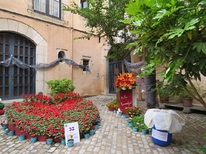 Temps de Flors 2018. Muntatges i instal·lacions florals a la Casa Agullana