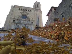 Temps de Flors 2018. Instal·lació 'Per treure'ns del pecat i dar-nos alegria' a les escales de la Catedral