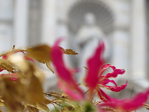 Temps de Flors 2018. Instal·lació 'Per treure'ns del pecat i dar-nos alegria' a les escales de la Catedral