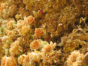 Temps de Flors 2018. Instal·lació 'Per treure'ns del pecat i dar-nos alegria' a les escales de la Catedral