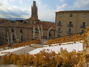 Temps de Flors 2018. Instal·lació 'Per treure'ns del pecat i dar-nos alegria' a les escales de la Catedral