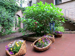 Temps de Flors 2018. Muntatge floral al Pati dels Rabins del Centre Bonastruc &ccedil;a Porta
