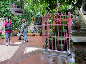 Temps de Flors 2018. Muntatge floral al Pati dels Rabins del Centre Bonastruc &ccedil;a Porta