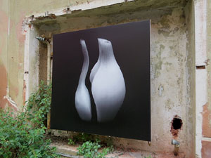 Temps de Flors 2018. Muntatges i instal&middot;lacions florals a l'Antic Cinema Modern