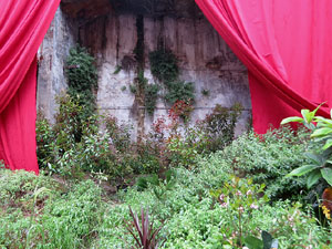 Temps de Flors 2018. Muntatges i instal&middot;lacions florals a l'Antic Cinema Modern