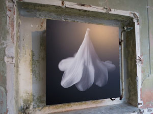 Temps de Flors 2018. Muntatges i instal&middot;lacions florals a l'Antic Cinema Modern