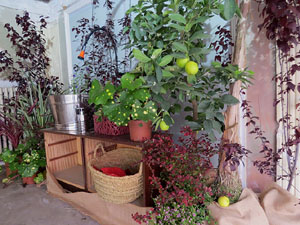 Temps de Flors 2018. Muntatges i instal&middot;lacions florals a l'Antic Cinema Modern