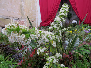 Temps de Flors 2018. Muntatges i instal&middot;lacions florals a l'Antic Cinema Modern