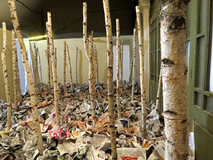 Temps de Flors 2018. Muntatges i instal&middot;lacions florals a l'Antic Cinema Modern