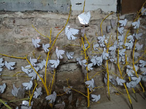 Temps de Flors 2018. Instal&middot;lacions 'El Bosc de la Llibertat' a la pla&ccedil;a del Vi, carrer Ciutadans i pla&ccedil;a de l'Oli
