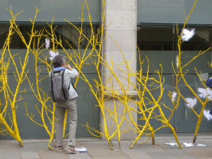 Temps de Flors 2018. Instal&middot;lacions 'El Bosc de la Llibertat' a la pla&ccedil;a del Vi, carrer Ciutadans i pla&ccedil;a de l'Oli