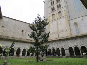 Temps de Flors 2018. Muntatges florals als claustres de la Catedral