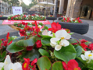 Temps de Flors 2018. Muntatges, instal·lacions i exposicions florals a diversos indrets