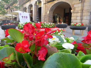 Temps de Flors 2018. Muntatges, instal·lacions i exposicions florals a diversos indrets