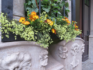 Temps de Flors 2018. Muntatges, instal·lacions i exposicions florals a diversos indrets