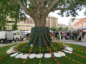 Temps de Flors 2018. Muntatges, instal·lacions i exposicions florals a diversos indrets