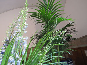 Temps de Flors 2018. Muntatges, instal·lacions i exposicions florals a diversos indrets