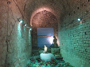 Temps de Flors 2018. Muntatges, instal·lacions i exposicions florals a diversos indrets