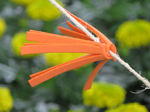 Temps de Flors 2018. Muntatges, instal·lacions i exposicions florals a diversos indrets