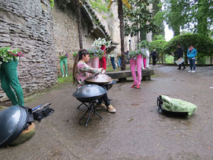 Temps de Flors 2018. Muntatges, instal·lacions i exposicions florals a diversos indrets