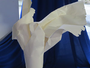 Temps de Flors 2018. Muntatges, instal·lacions i exposicions florals a diversos indrets