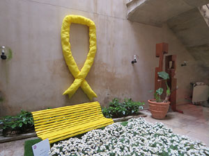 Temps de Flors 2018. Muntatges, instal·lacions i exposicions florals a diversos indrets