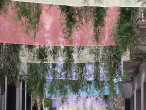 Temps de Flors 2018. Muntatges, instal·lacions i exposicions florals a diversos indrets