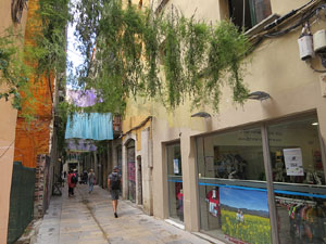 Temps de Flors 2018. Muntatges, instal·lacions i exposicions florals a diversos indrets